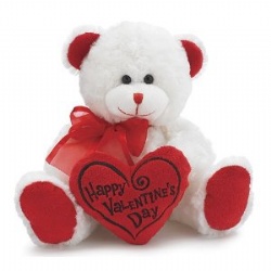 Cute Valentines Day Teddy Bear With Flower Heart Stuffed Push Toys